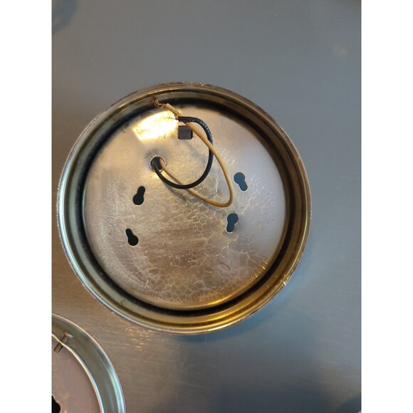 Ceiling Wall Light Fixture Dome Glass White Brown Roses Floral Vintage Country - Picture 9 of 11